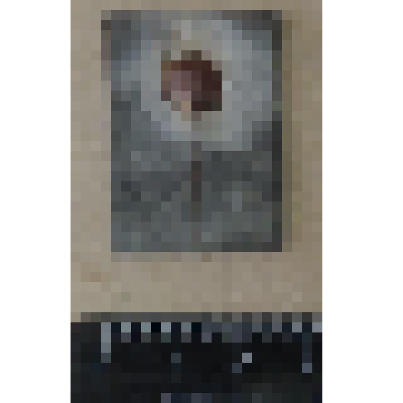 Значок " ЦС ТРУД"