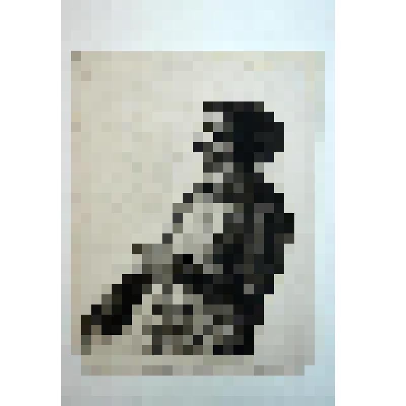 "Сидящая старуха". Гравюра