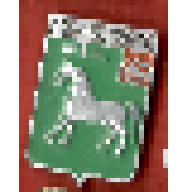 Значок. Бронницы. 1883, на булавке. СССР