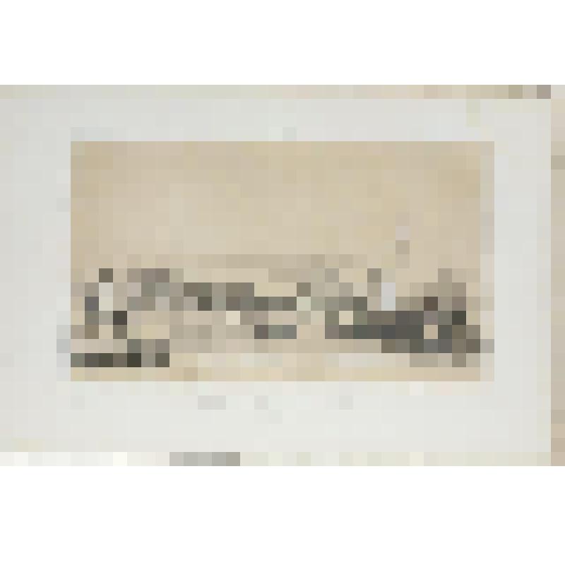 Литография. "Санкт-Петербург. Зимний дворец и Адмиралтейство (вид с Биржевой набережной) "