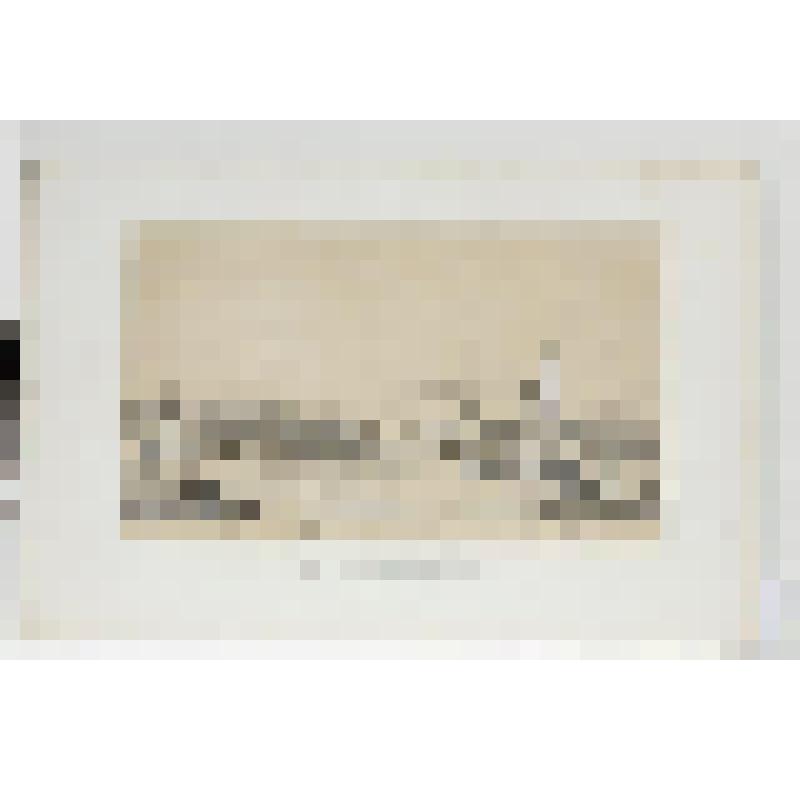 Литография. "Санкт-Петербург. Зимний дворец и Адмиралтейство (вид с Биржевой набережной) "