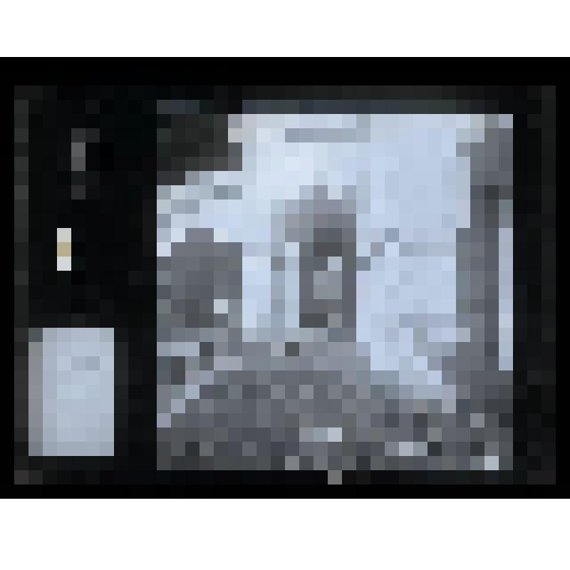 Негатив. Церковь Вознесения Господня. Галерея. Село Коломенское