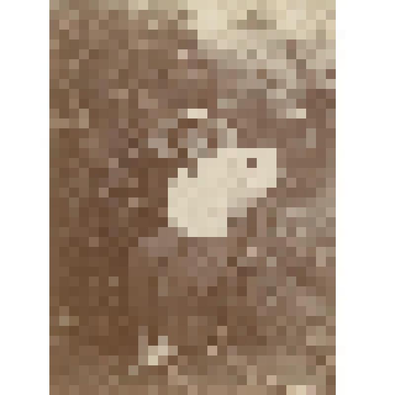 Фотография. Кастальская Н.А. в молодом возрасте. Фотопортрет в рост, анфас. Сидит на стуле в саду у куста. Одета в белую блузу и темную юбку; в сандалиях, на голове белая широкополая шляпа