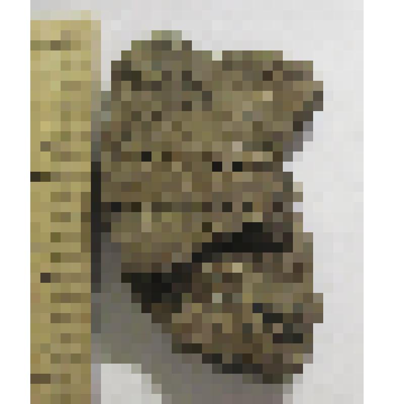 6 фрагментов орнамента сосуда с наколотым точечным орнаментом (планшет)