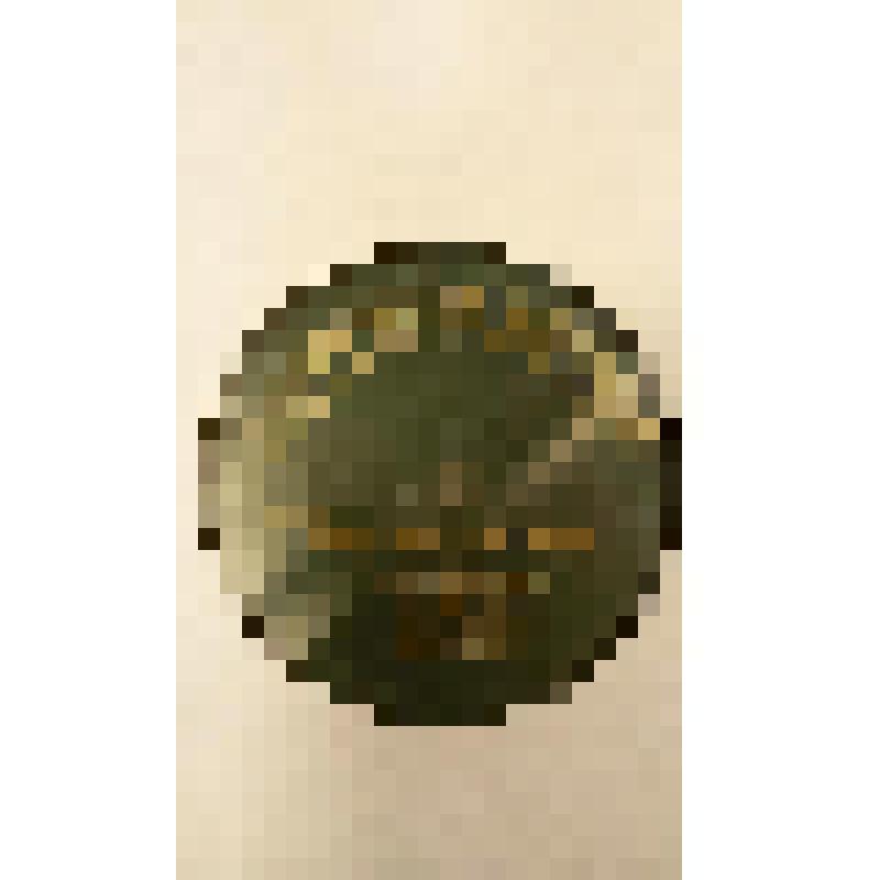 Грампластинка. Пьеса: "Гей, вы ну-ли, что заснули" народная песня. Исполняет Г.П. Садовников с аккомпанементом балалаечников; Пьеса: "Знаю, воронъ, твой обычай" русская песня. Исполняет Г.П. Садовников с аккомпанементом балалаечников