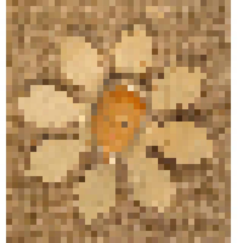 Игрушка елочная «Снежинка» (с детским лицом), из коллекции елочных игрушек и украшений