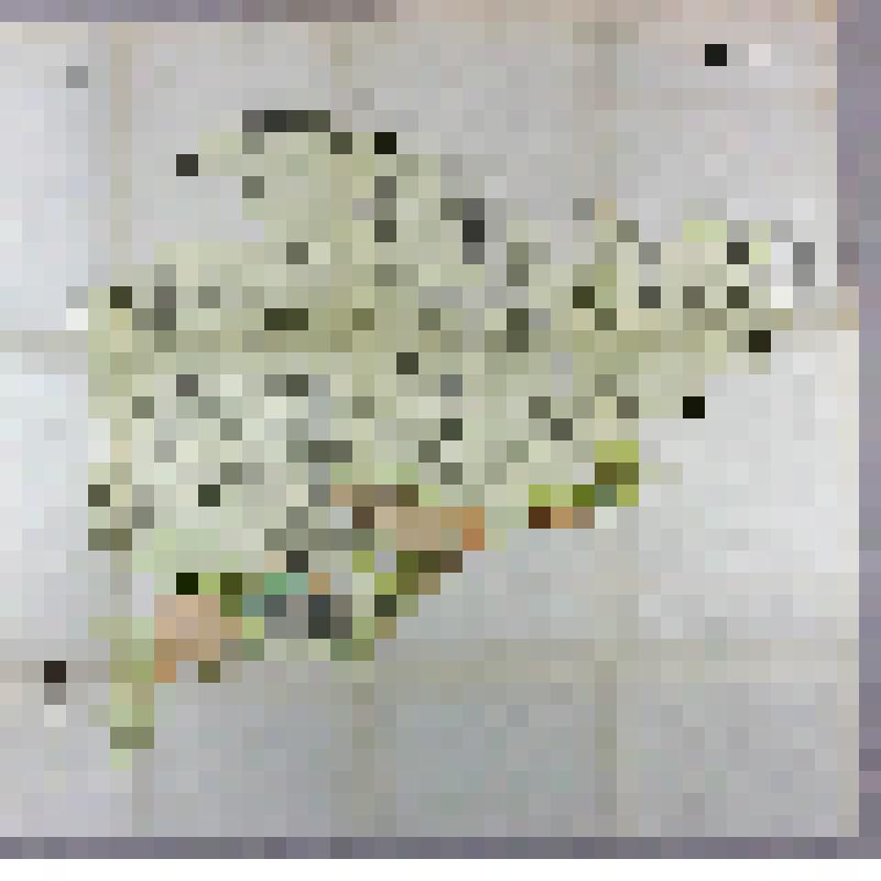 Карта гидрогеологическая. Озинский район