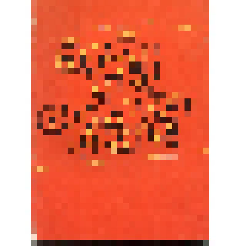 Книга. Я.И.Захаров «Судьбы солдатские». 
СССР, Алма-Ата, изд-во «Казахстан», 1979 г., 90 с