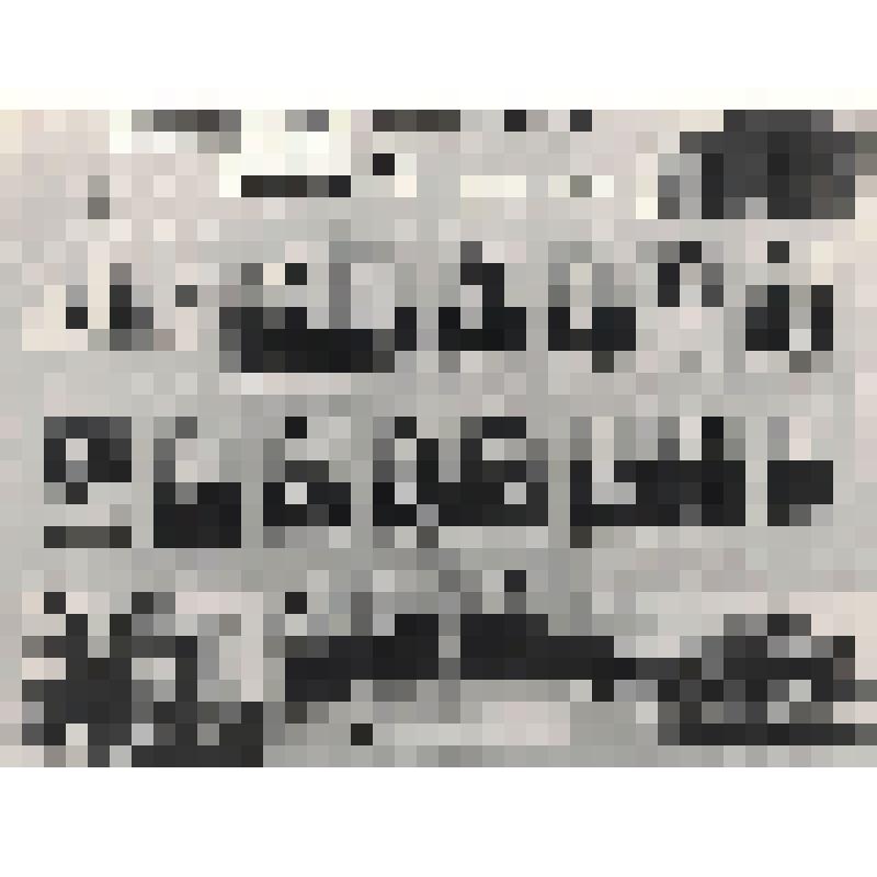 Фотомонтаж (18 человек). Совещание передовиков производства колхоза «Заря» Тамбовского района