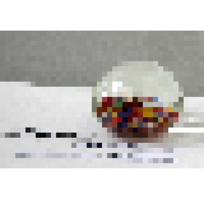 Крышка от чернильницы (?)