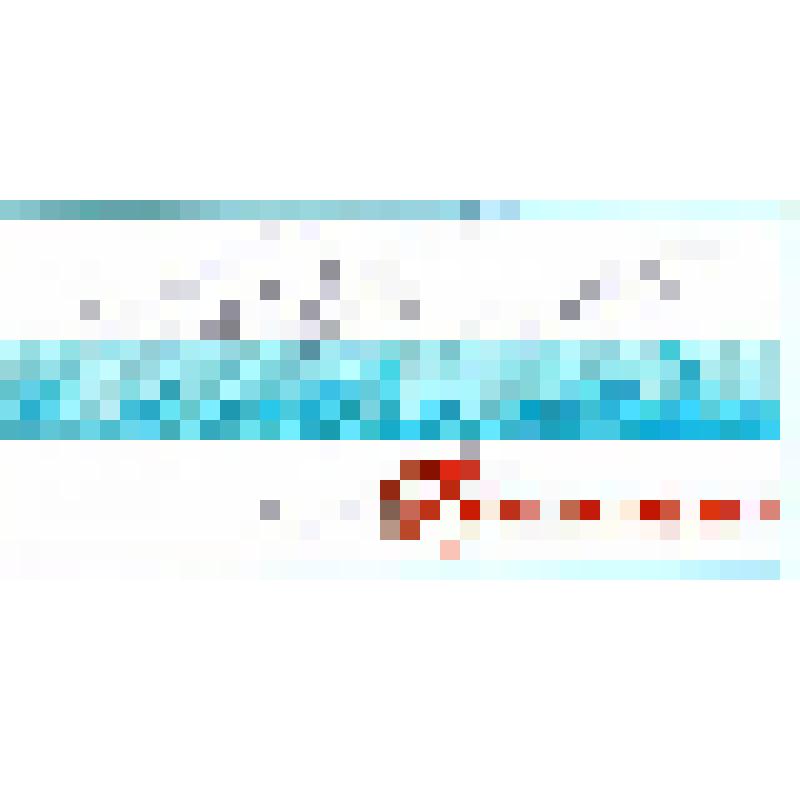 Документ. Приглашение Администрации Северодвинска Леонтьеву Владимиру Николаевичу на праздничный концерт С. Любавина, посвященный 70-летнему юбилею Северодвинска, 25 июля 2008 года