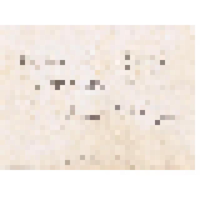 Фотография. Первый год обучения