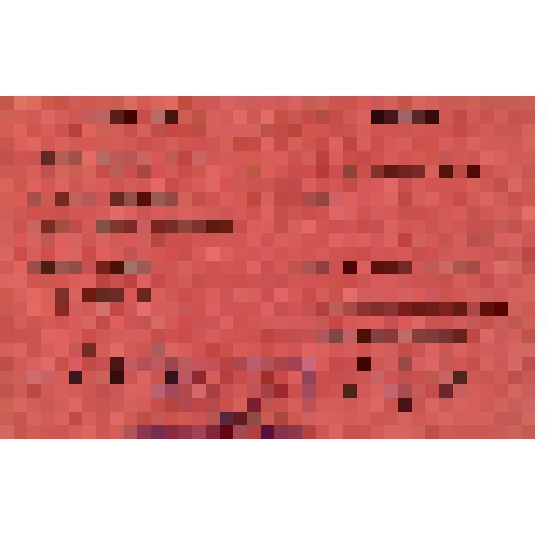 Мандат № 21 Кормилицына Михаила Ивановича - делегата IX Участковой Конференции Профсоюза железнодорожников 4-го участка Московско-Казанской железной дороги