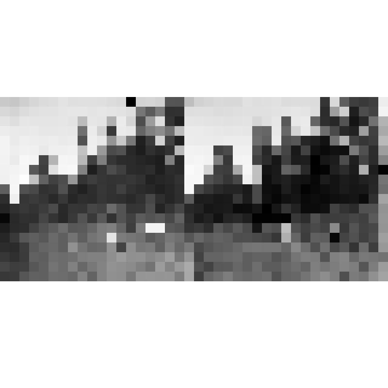 Негатив на стекле: На дороге Тагарского острова, близ сада Бедро