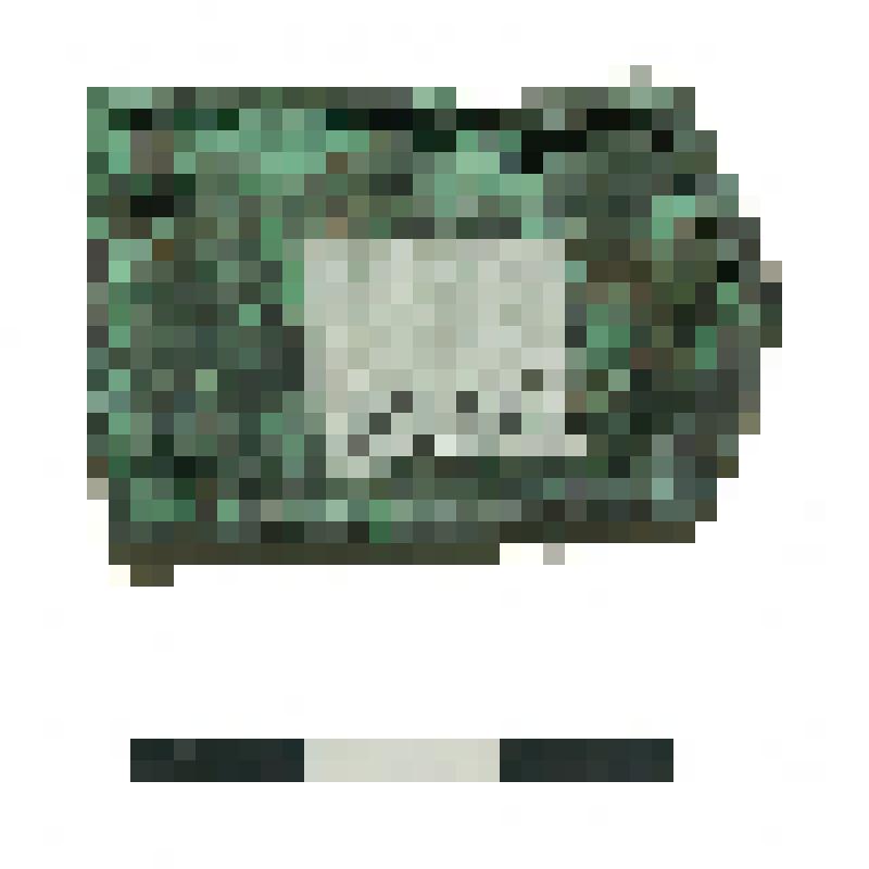 Наконечник ремня сбруйный. Памятник Мусохраново-I