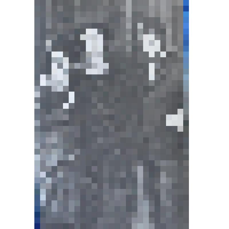 Комплект фотооткрыток "Сергей Есенин. Страницы жизни". Есенин с А. Дункан и ее дочерью. Нью - Йорк 1922 г