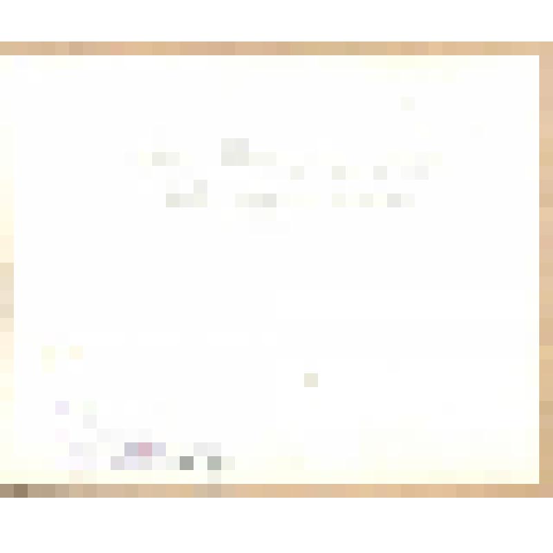 Фотография. Пражский национальный театр, в котором в 1888 году, во время гастролей, дирижировал П.И. Чайковский