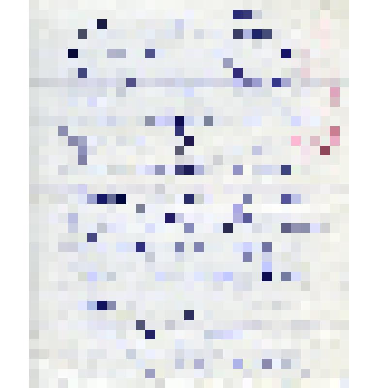 Черновой вариант ходатайства Андрея Ефимовича Бочкина секретарю ЦК КПСС А.П.Кириленко. 1970-е гг