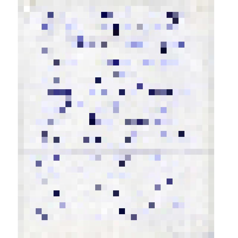 Черновой вариант ходатайства Андрея Ефимовича Бочкина секретарю ЦК КПСС А.П.Кириленко. 1970-е гг