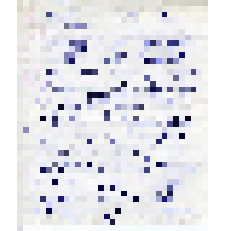 Черновой вариант ходатайства Андрея Ефимовича Бочкина секретарю ЦК КПСС А.П.Кириленко. 1970-е гг