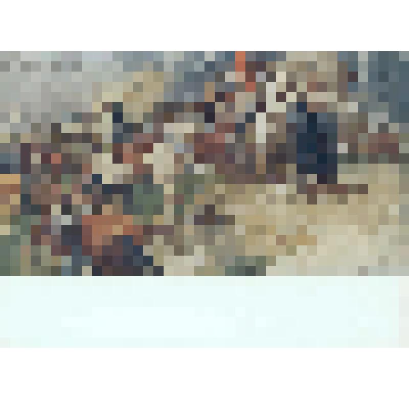 Первая Конная Армия. Репродукция картины Е. Е. Моисеенко