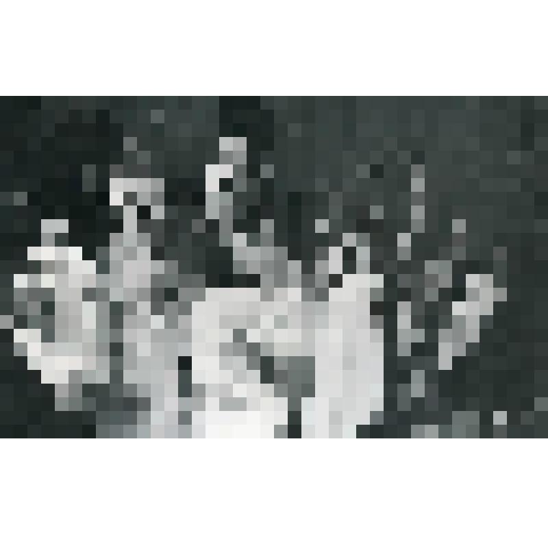 Фотография. Сцена из спектакля. На переднем плане в рост стоит Царь Эдип - Ш. Бурханов, его окружили старцы. "Царь Эдип" (пост. - И.В. Радун, реж. - Ш. Каюмов, худ. - Г. Брим.). Узбекистан, Узбекский академический театр драмы им. Хамзы