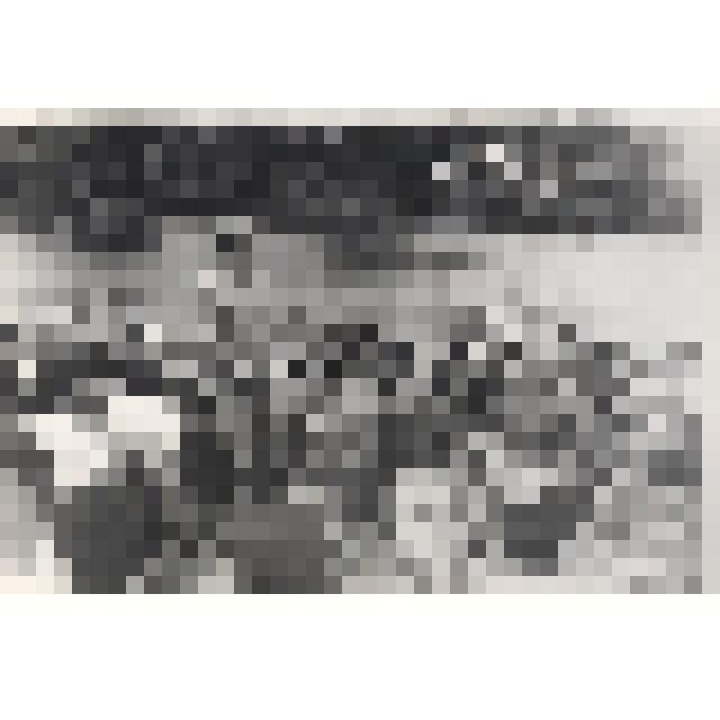 Фотография. Клименко Михаил Ефимович, главный врач курорта «Тинаки», читает лекцию