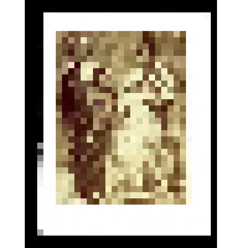 Негатив на стеклянном носителе. Валенсия. Традиционная одежда. Испанцы, каталонцы