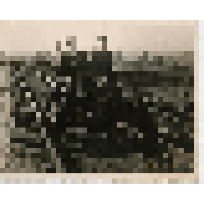 Фотография сюжетная. Ельцов Анатолий с товарищем