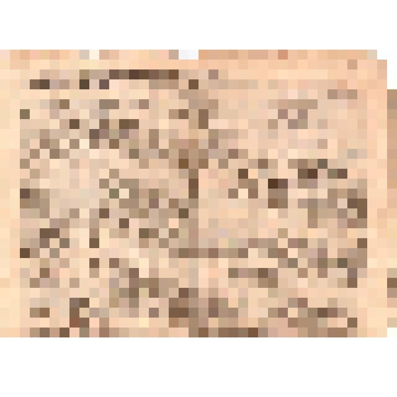 Газета "Копейка" № 1497, 17 (30) сентября 1912 г. С. Петербургъ