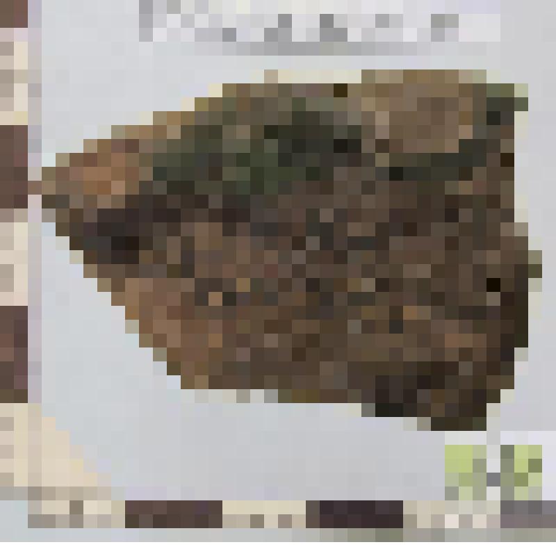 Дна красножгущегося глазурованного сосуда фрагмент