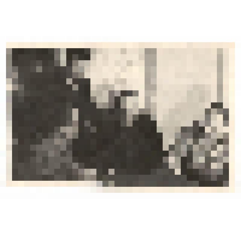 Фотография. Сергеев Н., Золотов _.Г., Чернов Н., Кривоусов М., добровольцы 1941 г на встрече в редакции