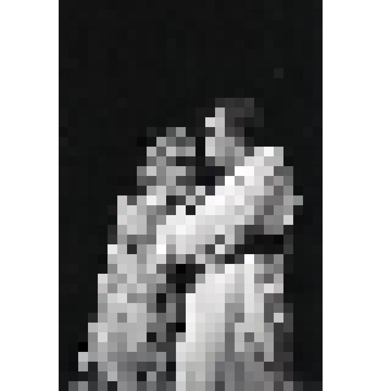 Негатив черно-белый. Ксения - А.В.Хованская;  Федор Годунов - С.Ю.Шнырев. "Борис Годунов" (1994 г.)