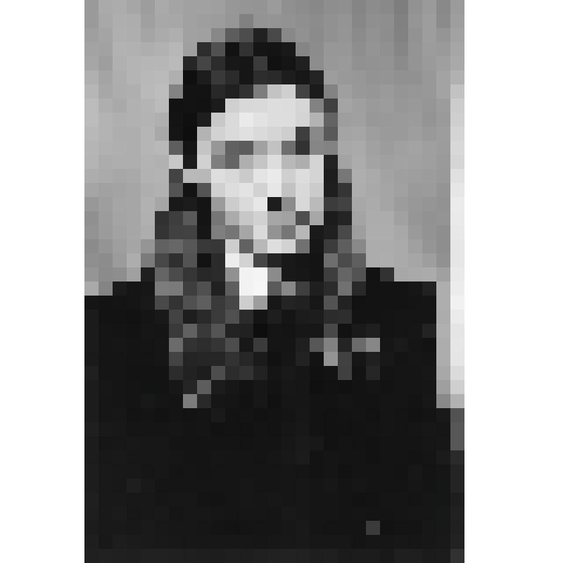 Фотография. Голованова Лена, делегат учеников 8 класса