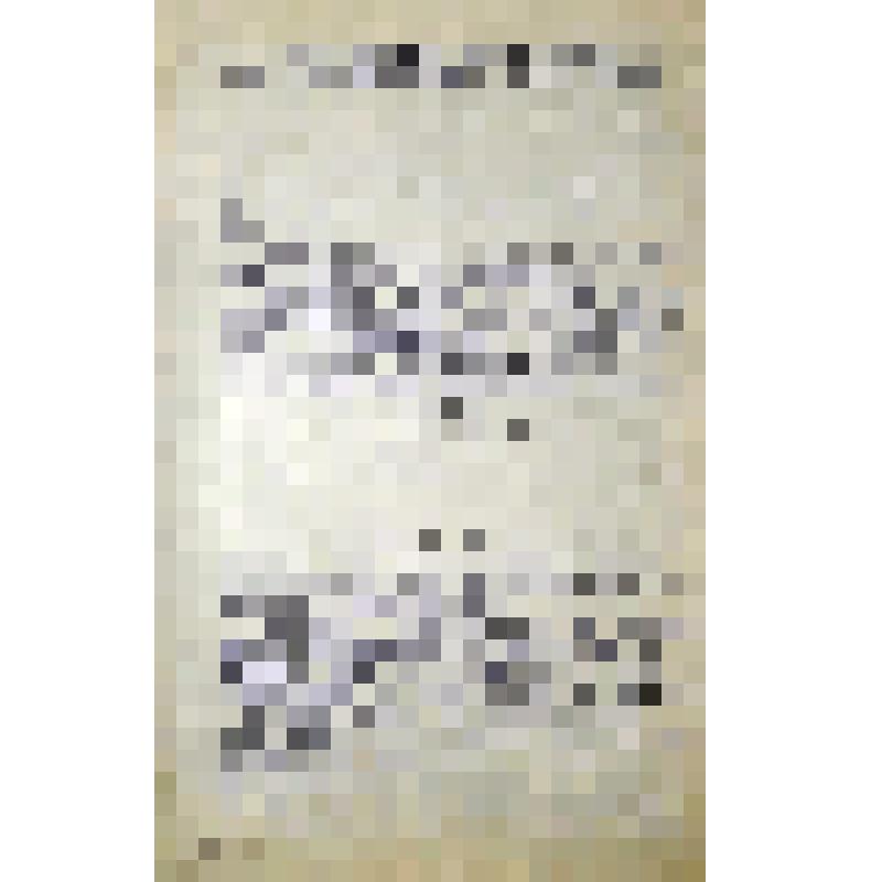 О пребывании П.Н. Лепешинского в Минусинской ссылке в 897-900гг. Из беседы И.Накладова с семьей Горелова