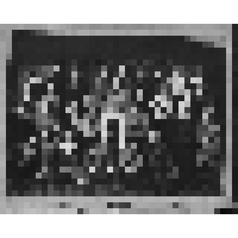 ФОТО (ГРУППОВОЕ). УЧАСТНИКИ 1-й ВСЕБАШКИРСКОЙ ОБЛАСТНОЙ КОНФЕРЕНЦИИ СОЮЗА КИНО-ФОТОРАБОТНИКОВ СССР. СРЕДИ НИХ - ГРИГОРЬЕВА А.Д.  27-30/VIII-1937г