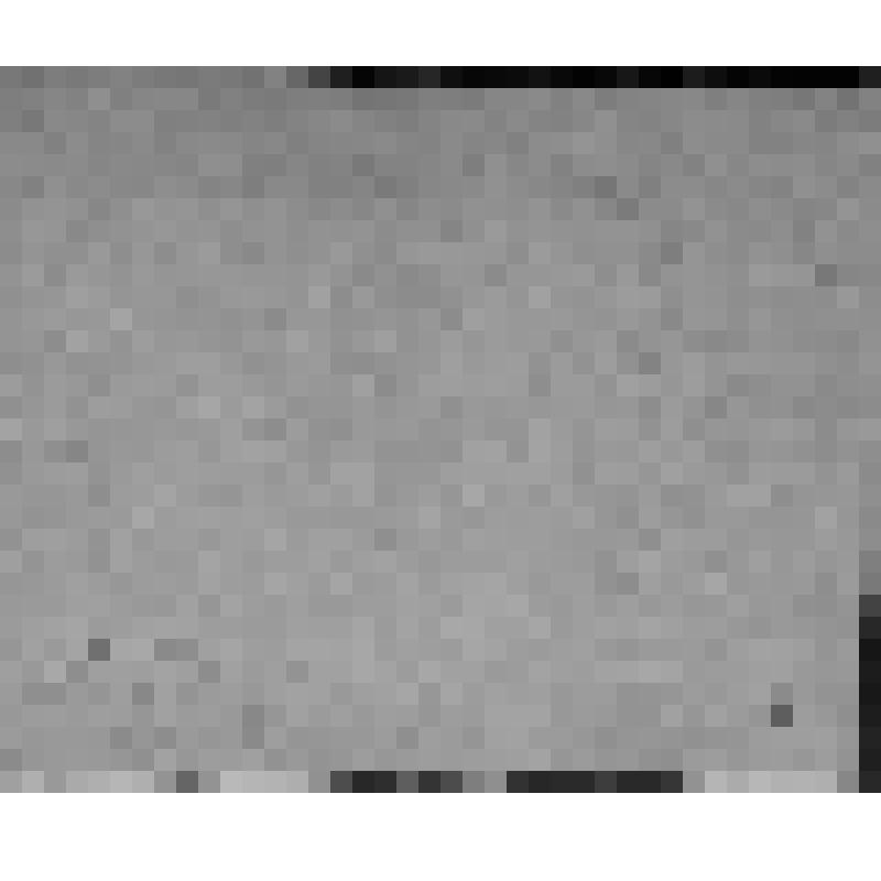 ФОТО (ГРУППОВОЕ). УЧАСТНИКИ 1-й ВСЕБАШКИРСКОЙ ОБЛАСТНОЙ КОНФЕРЕНЦИИ СОЮЗА КИНО-ФОТОРАБОТНИКОВ СССР. СРЕДИ НИХ - ГРИГОРЬЕВА А.Д.  27-30/VIII-1937г