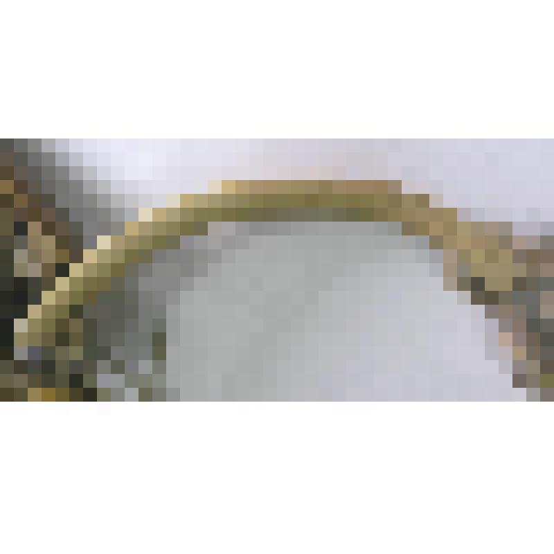 Пластина налобная, костяная