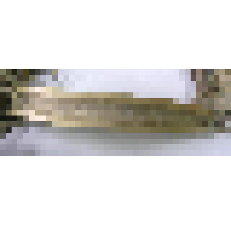 Пластина налобная, костяная