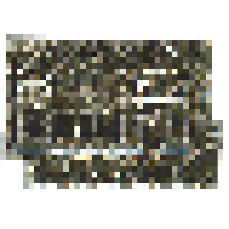 Значок. Семипалатинск. Музей Абая Кунанбаева, на булавке. СССР