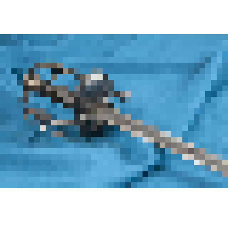 Шпага английска пехотная