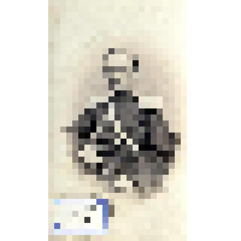 Фотография черно-белая. Эльжановский Казимир Юльянович