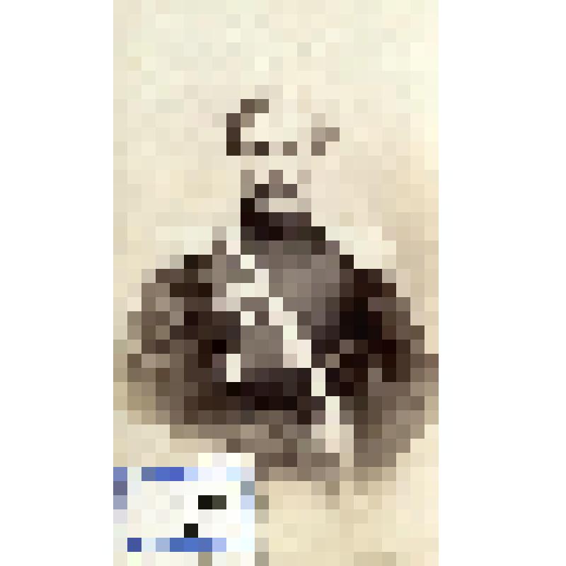 Фотография черно-белая. Котляков Алексей Алексеевич