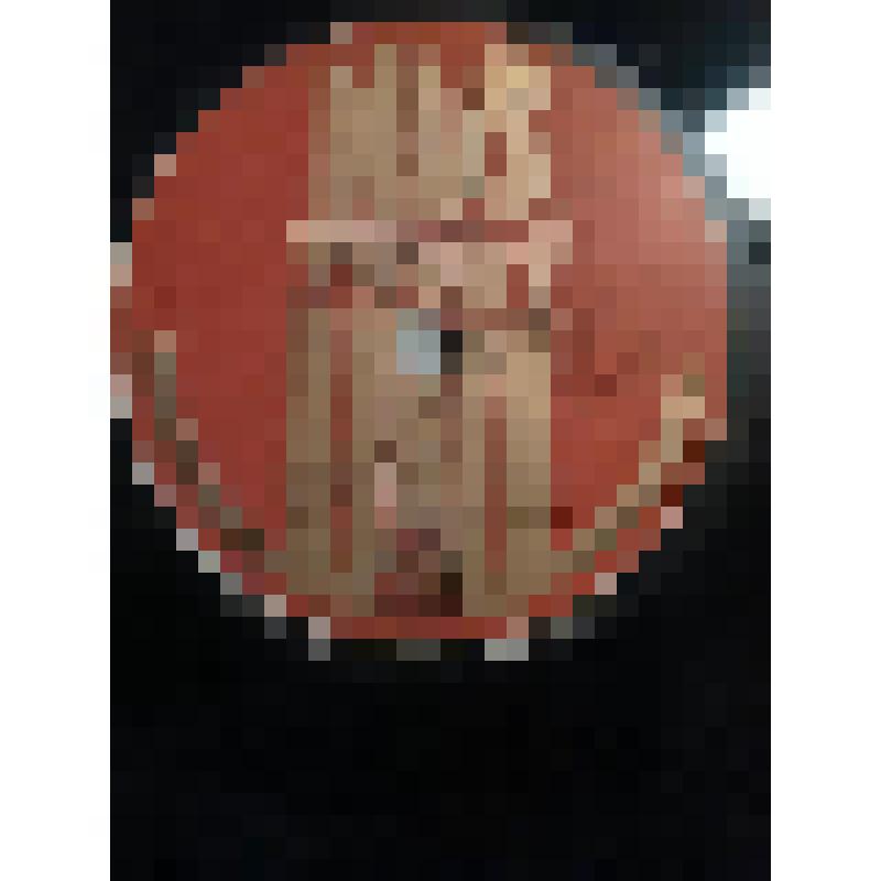 Грампластинка. 1. Рассказ дедушки Луки из пьесы М. Горького "На дне". Исполняет И. Москвин. 2. Рассказ И. Горбунова "Пушка". Исполняет И. Москвин. "На дне". Москва, Московский Художественный академический театр