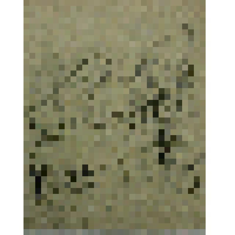 Застолье. Коллекция А.В. Мироновой, рисунок