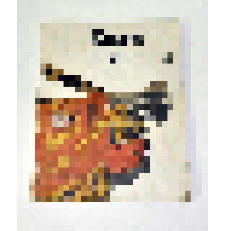 Книга. Книга вожатого