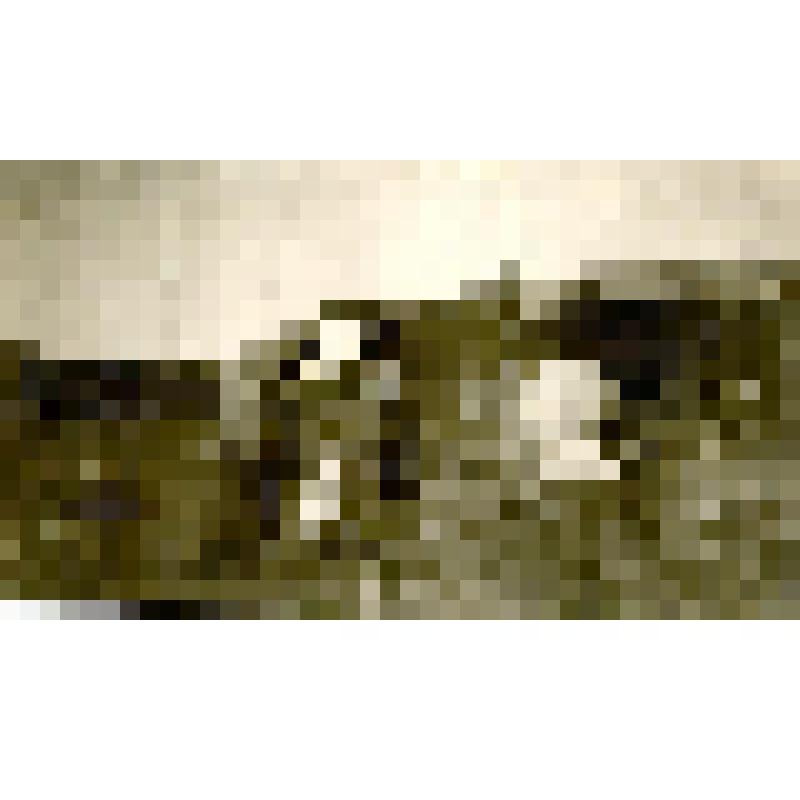 Фотография. Мятье кожи. Якуты за работой возле дома