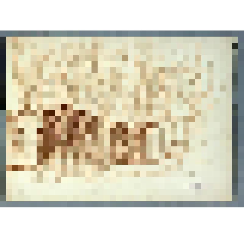 Павловск после разрушений. Рисунок