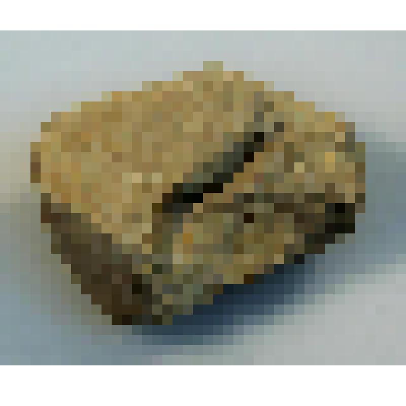 Галька с негативами сколов