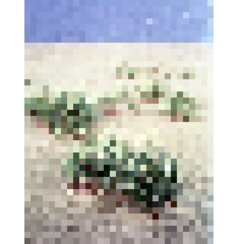 негатив. Берег залива